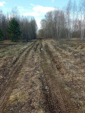 В деревне Гари нет дорог